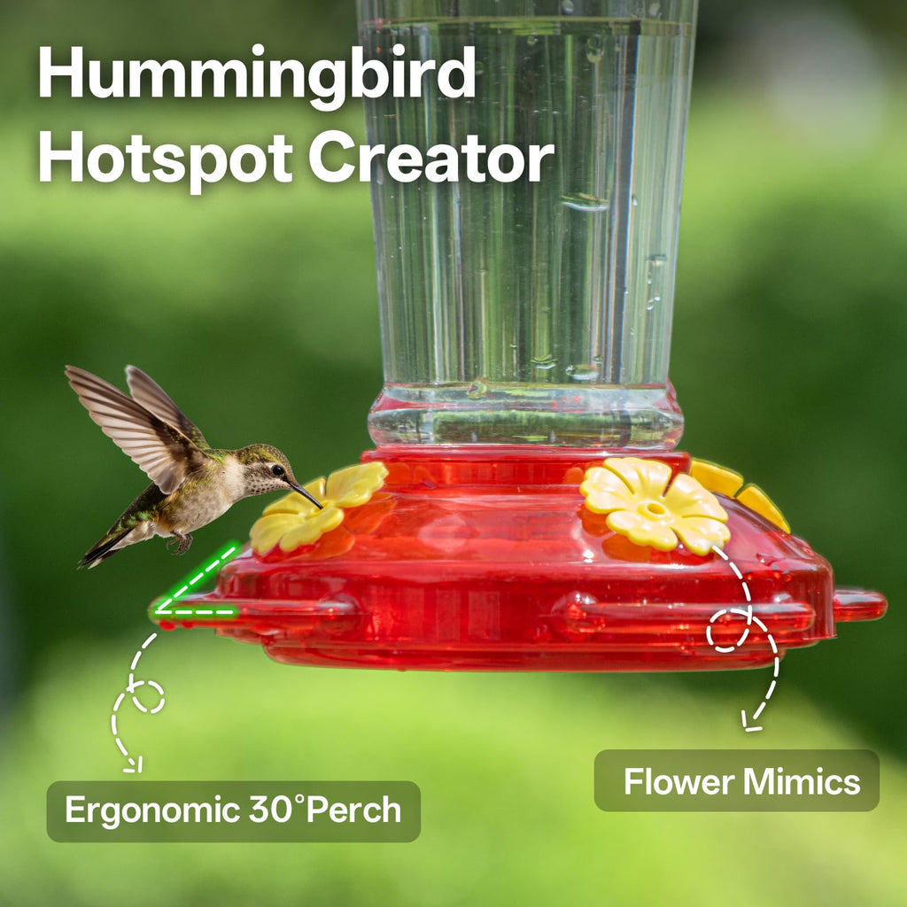 🐦&nbsp;Hummingbird Feeders for Outdoor Hanging
