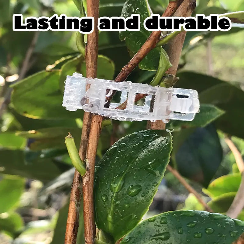 100 Counts Plant Support Clips, Upright Growth Support for Tomato & Grape Vines