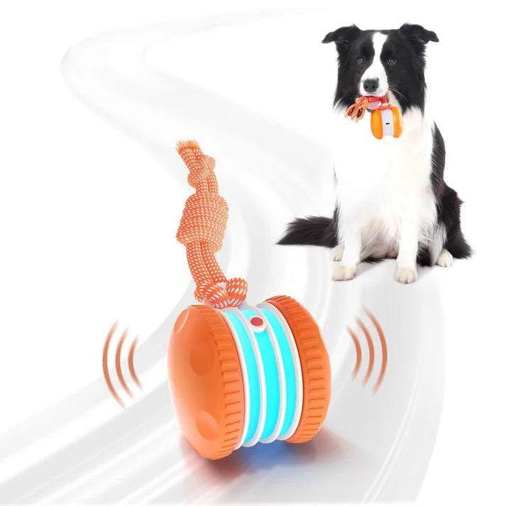 🐶Keep Your Pet Relaxed, Happy & Content 🐾
