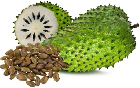 💥🌸 Organic Soursop (Graviola) Seeds – Non-GMO Heirloom Tropical Fruit seeds