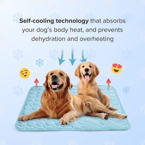 🔥🔥Hot Sale 🧊Dog Cooling Mat (4x more effective)