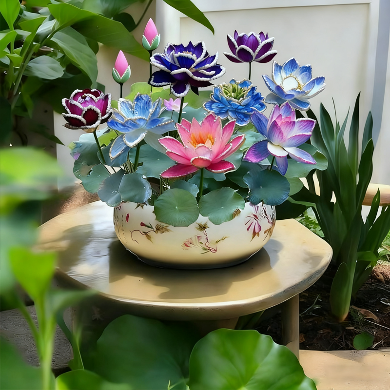 💮Midnight Purple Lotus Seeds