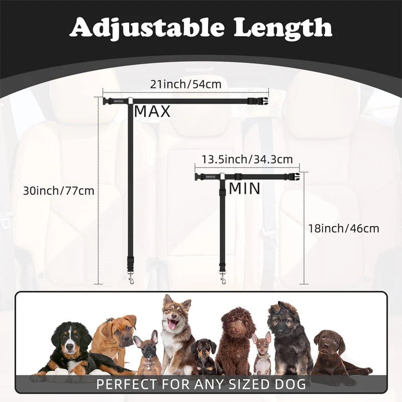 2-in-1 Dog Car Seat Belt & Walking Leash