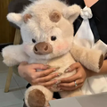 Double-sided cute cow plush toy