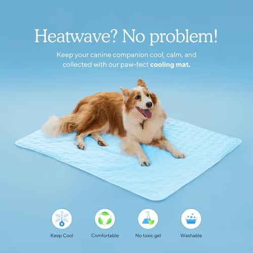 🔥🔥Hot Sale 🧊Dog Cooling Mat (4x more effective)