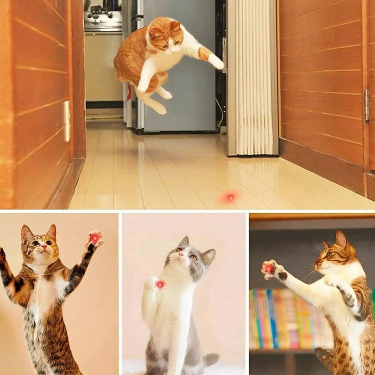 Rechargeable Green Laser Pointer/ Line Light Flashlight Long Distance Range for TV/LED/LCD Screens  Flashlights Presentation, Laser Pointer Cat Toy，Office / Outdoors / Astronomic / Construction SummerVibes petlovers