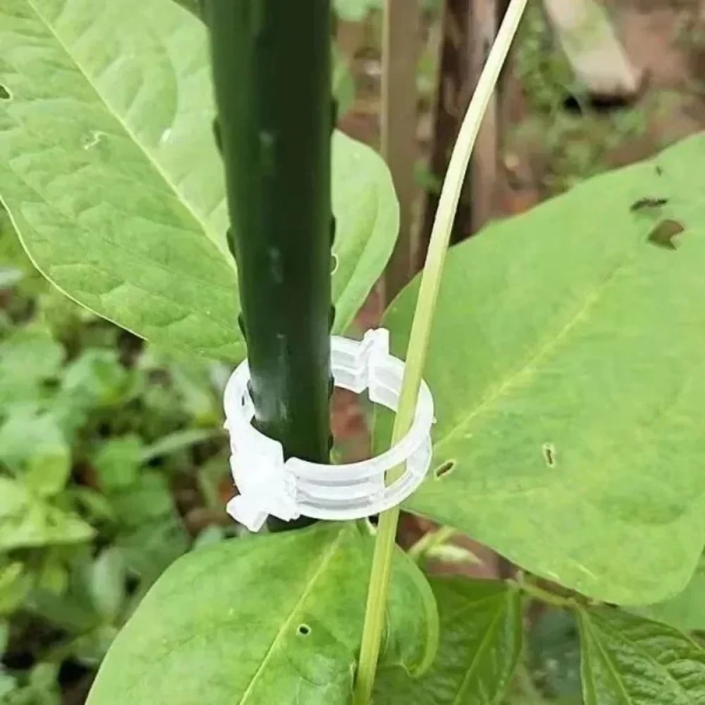 Reusable Plant Support Clips (100 clips)