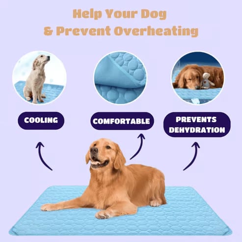 🔥🔥Hot Sale 🧊Dog Cooling Mat (4x more effective)