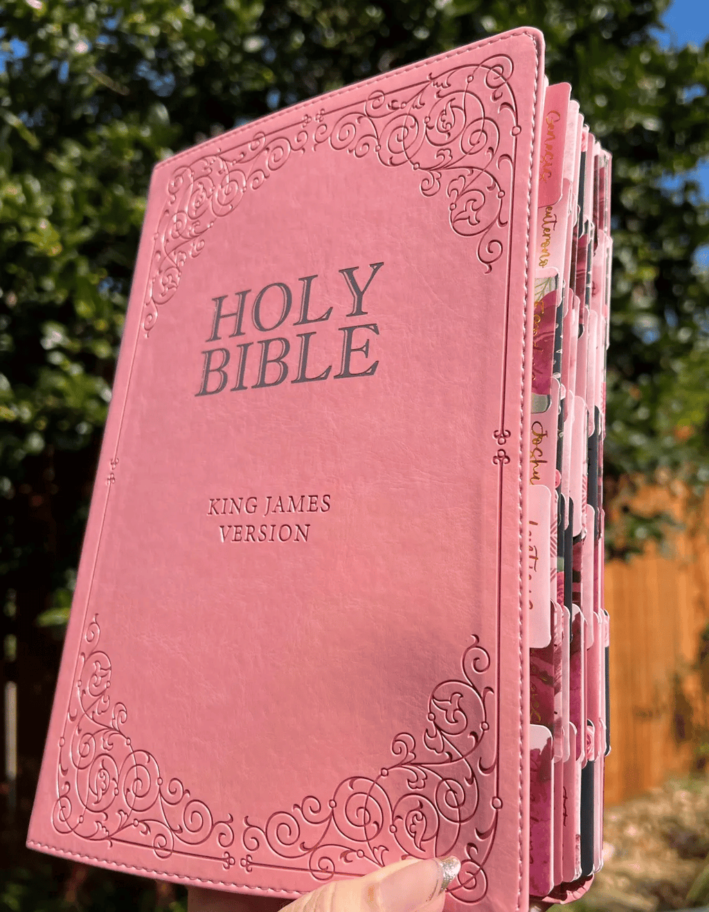 🔥LAST DAY 50% OFF -📖Beautiful KJV Pink Leather Soft Giant Print Bible with Ombre Tabs🙏🏼