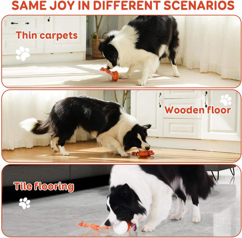 🐶Keep Your Pet Relaxed, Happy & Content 🐾