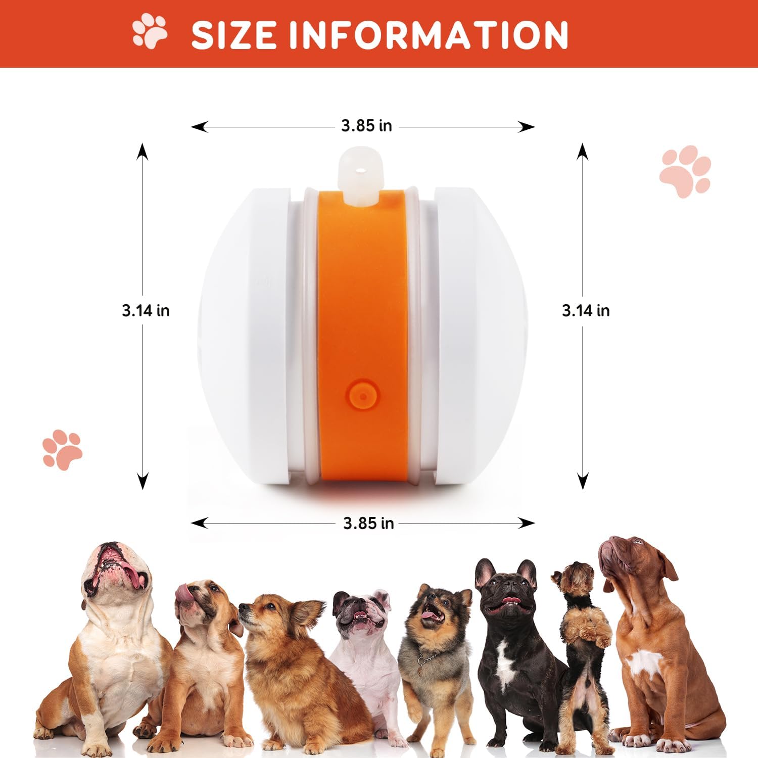 🐶Keep Your Pet Relaxed, Happy & Content 🐾