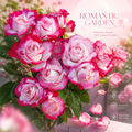 Romantic Pink Rose Seeds – Elegant Two-Tone Blooms for Home Gardens