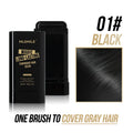 2 in 1 Water And Sweat Proof Hair Comb Dye (Limted Stock)