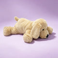 Golden Dog Warmies Wrap