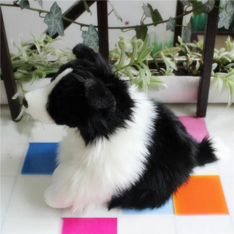 Border Collie Dog Companion