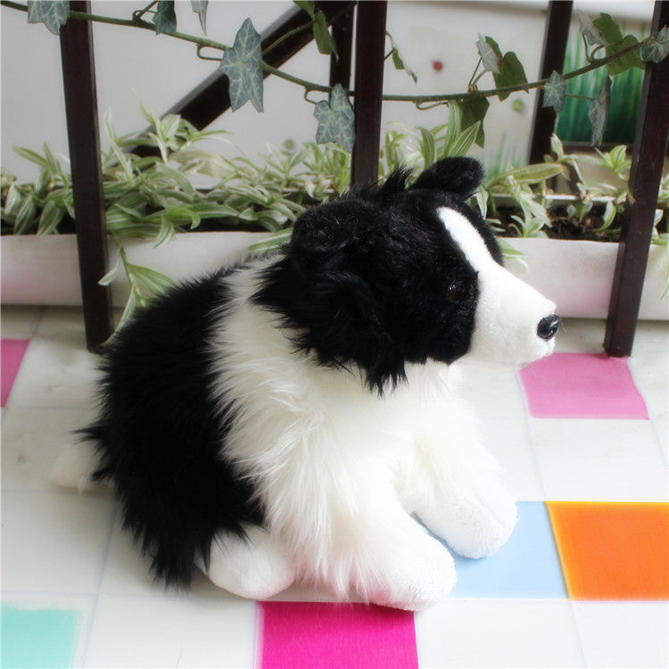 Border Collie Dog Companion