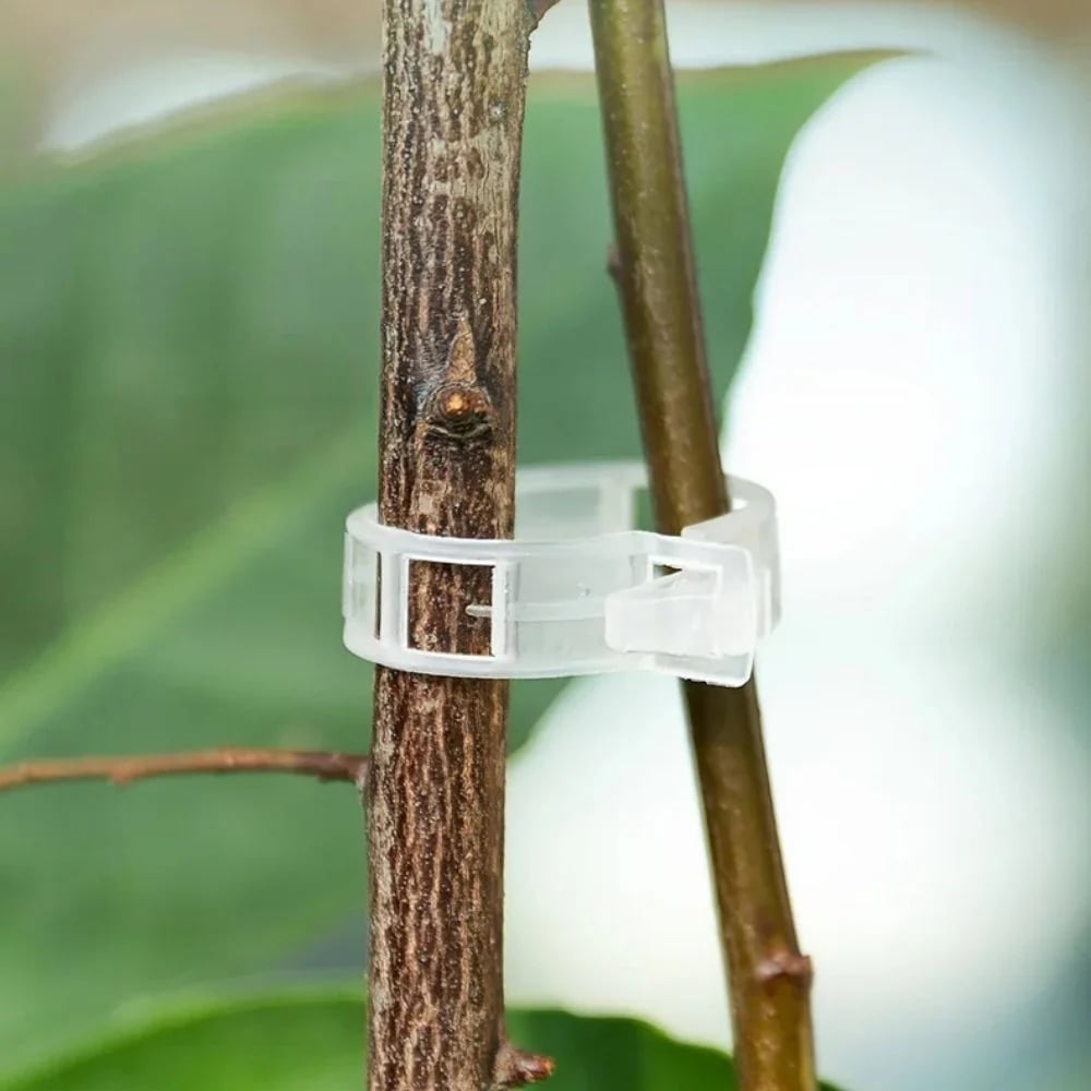 Reusable Plant Support Clips (100 clips)