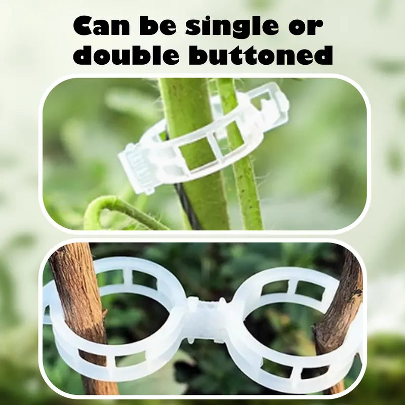 100 Counts Plant Support Clips, Upright Growth Support for Tomato & Grape Vines
