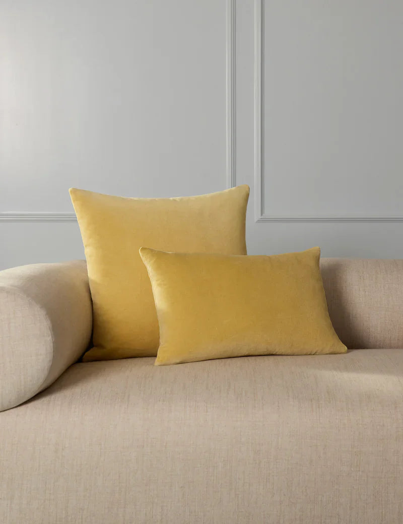 Charlotte Velvet Pillow