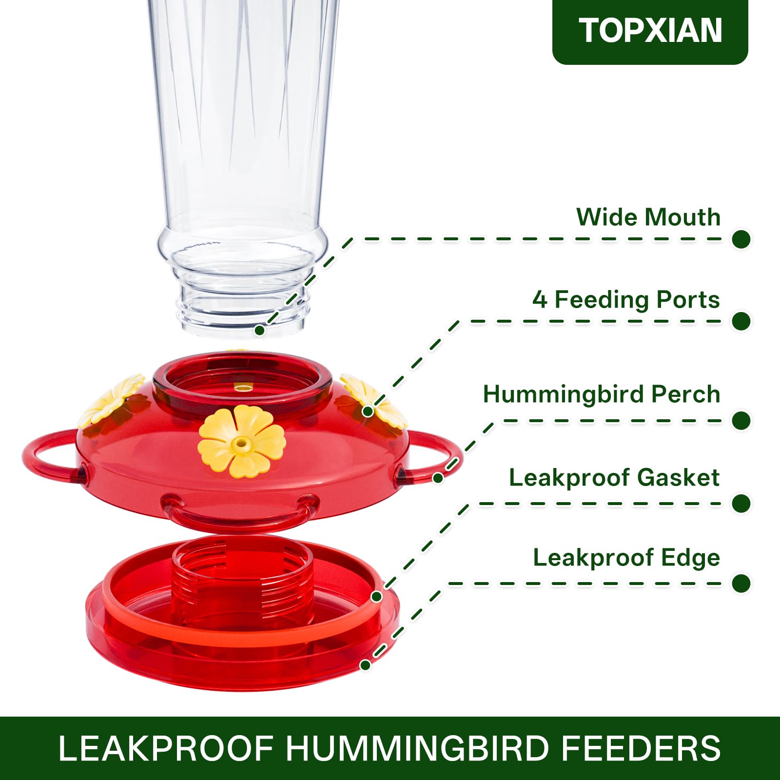 🐦&nbsp;Hummingbird Feeders for Outdoor Hanging