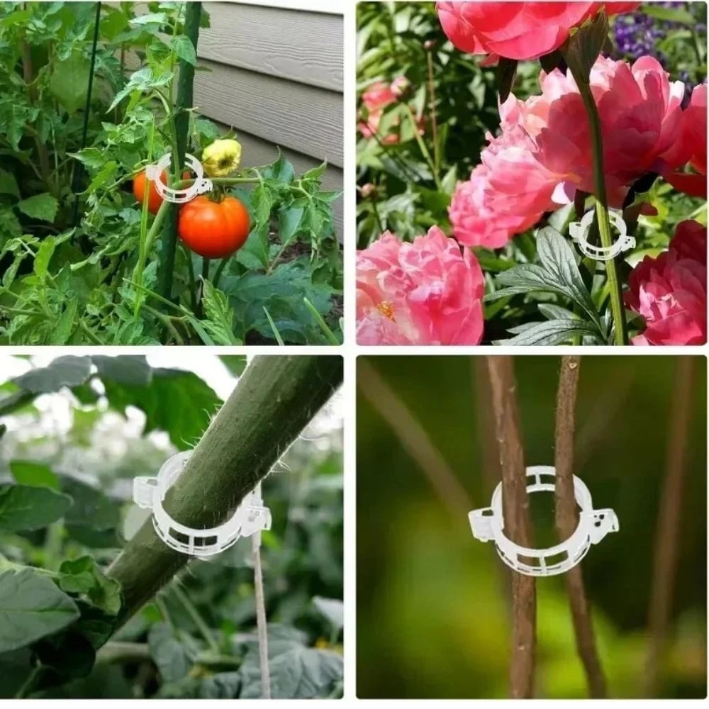 Reusable Plant Support Clips (100 clips)