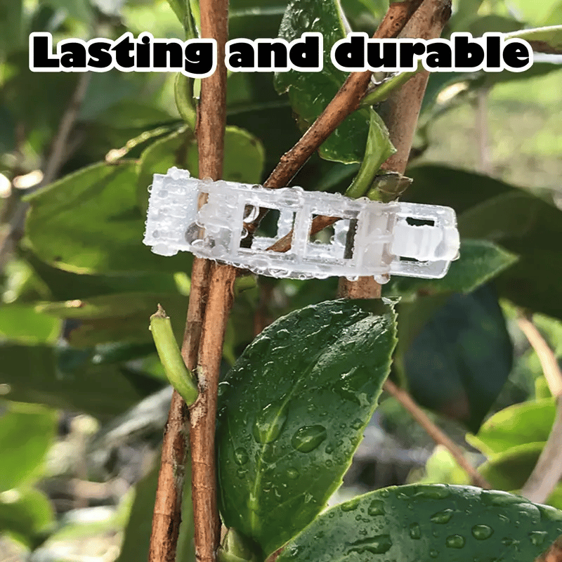 Reusable Plant Support Clips (100 clips)