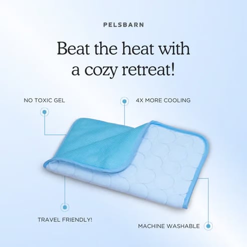 🔥🔥Hot Sale 🧊Dog Cooling Mat (4x more effective)