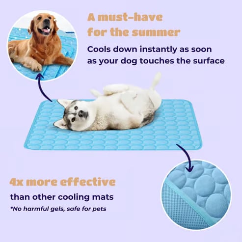🔥🔥Hot Sale 🧊Dog Cooling Mat (4x more effective)