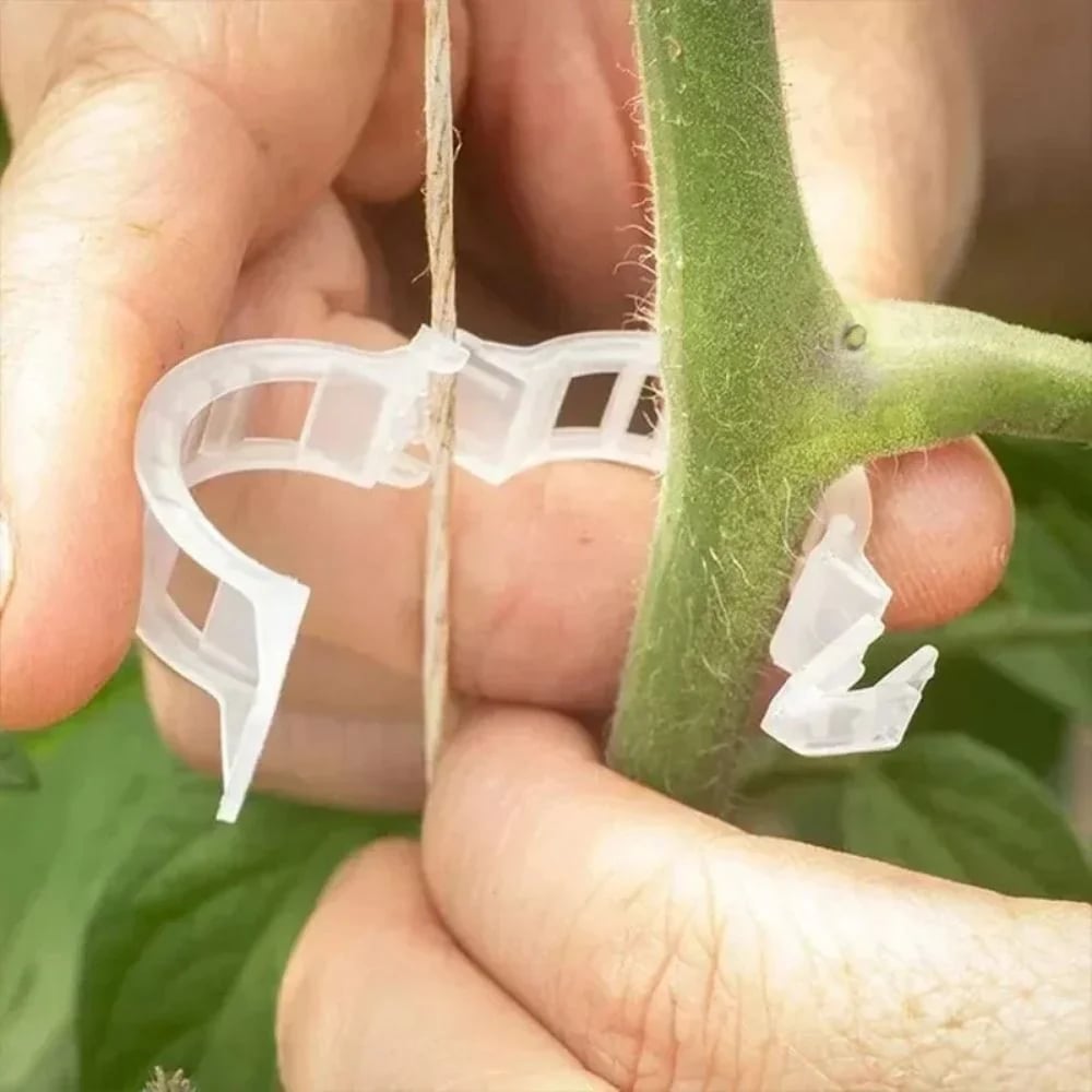 Reusable Plant Support Clips (100 clips)