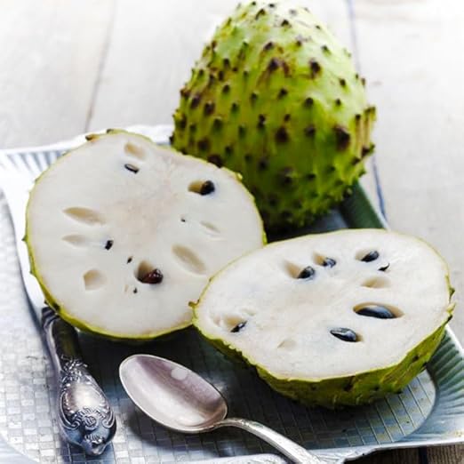 💥🌸 Organic Soursop (Graviola) Seeds – Non-GMO Heirloom Tropical Fruit seeds
