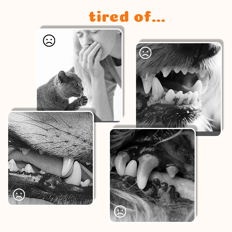 🦷 Effortless Pet Dental Care | Remove Tartar & Freshen Breath