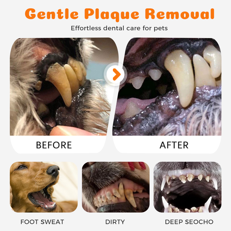 🦷 Effortless Pet Dental Care | Remove Tartar & Freshen Breath